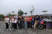 �����������