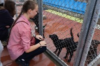 �����������