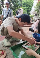 �����������